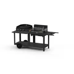 Barbecue MIXTE MENDY ALDE PURE GRILL noir – LEMARQUIER – MIVME13V2 Offre Du Jour