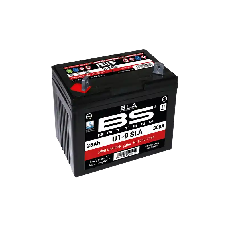 Nouvel Arrivage Batterie remplacement Arnold 12V 16Ah 280 CCA pour autoportée