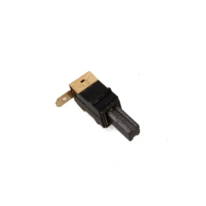 Achat Immédiat Charbons pour ponceuse RYOBI ERO2412VN