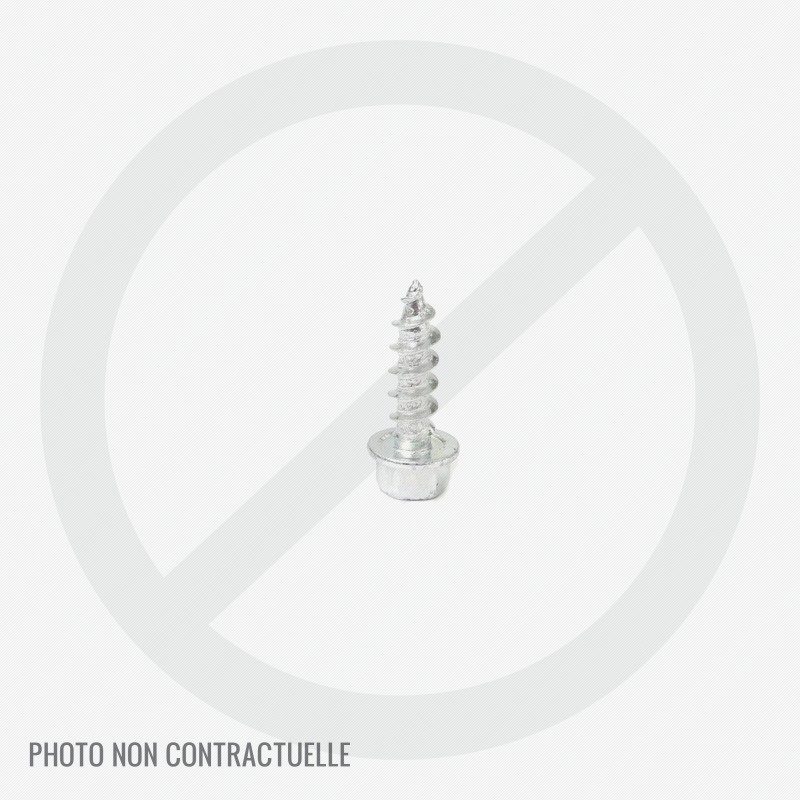 Vis carter courroie tondeuse Sterwins 510HSPA 160-3, GGP PAN504 TR 4S Top Vente