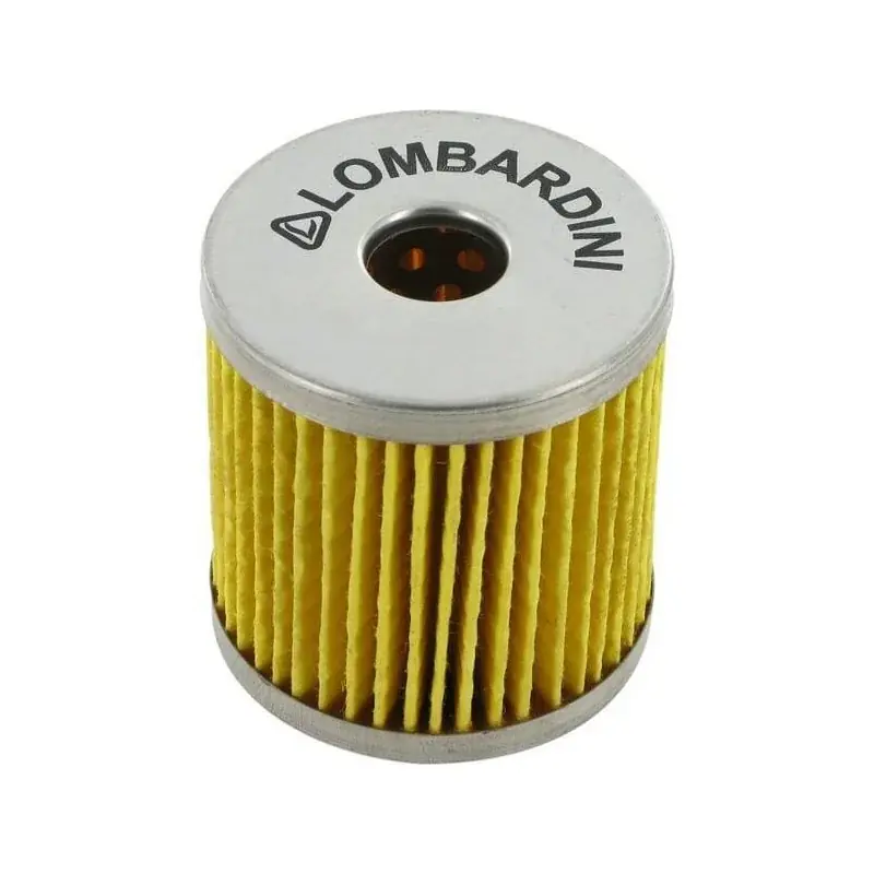 Prix Choc Filtre à gasoil LOMBARDINI 2175009
