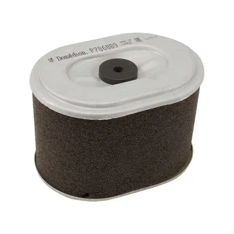 Acheter Direct Filtre à air DONALDSON P786889