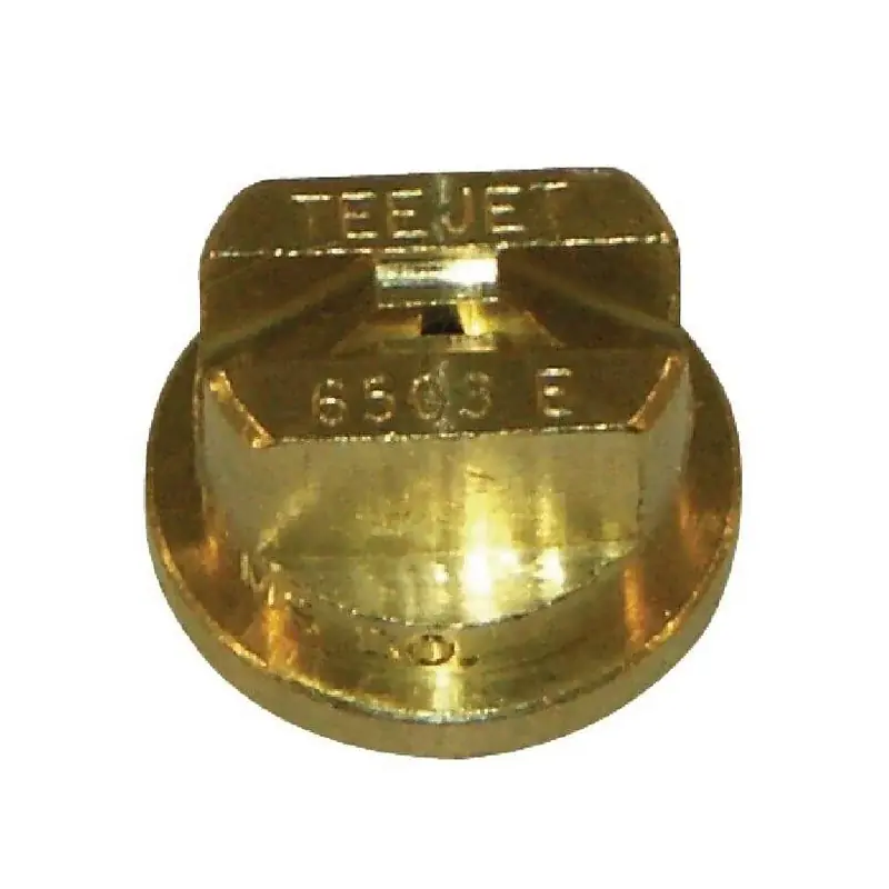 Quantité Limitée Buse TEEJET TP6503E